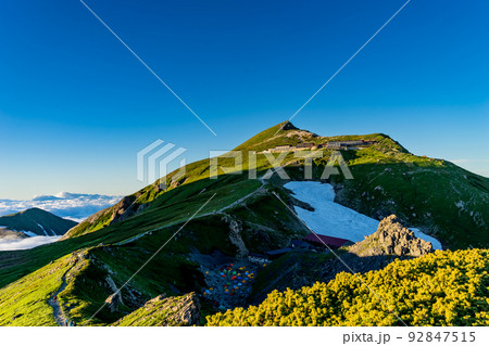 白馬岳山頂と頂上宿舎テント村 92847515
