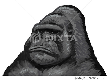 ゴリラ ゴリラ 92847665