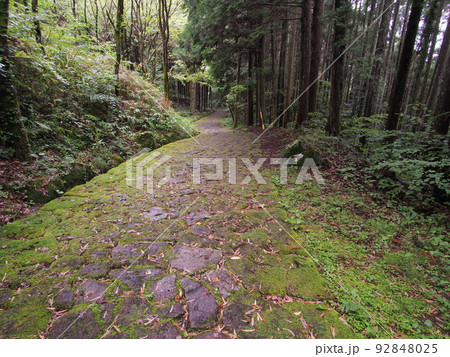 新緑と苔の旧中山道 落合の石畳 新緑と苔の旧中山道 落合の石畳 92848025