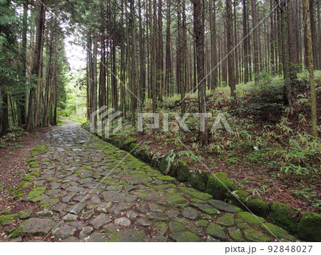 新緑と苔の旧中山道 落合の石畳 新緑と苔の旧中山道 落合の石畳 92848027