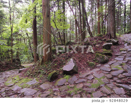 新緑と苔の旧中山道 落合の石畳 新緑と苔の旧中山道 落合の石畳 92848029