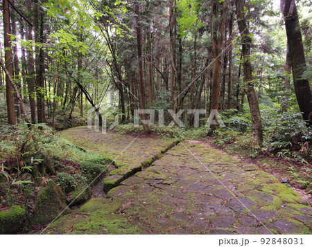 新緑と苔の旧中山道 落合の石畳 新緑と苔の旧中山道 落合の石畳 92848031