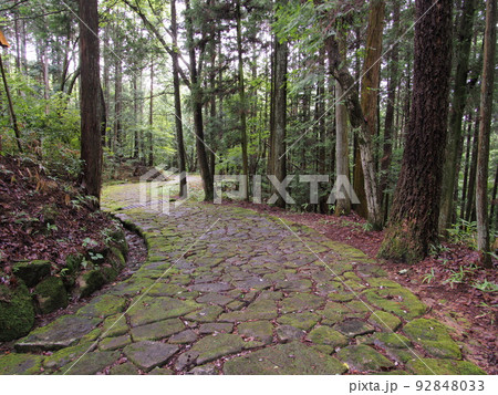 新緑と苔の旧中山道 落合の石畳 新緑と苔の旧中山道 落合の石畳 92848033