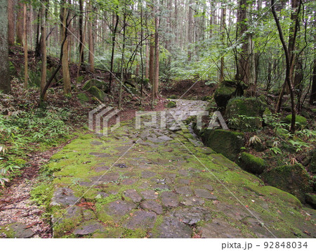 新緑と苔の旧中山道 落合の石畳 新緑と苔の旧中山道 落合の石畳 92848034