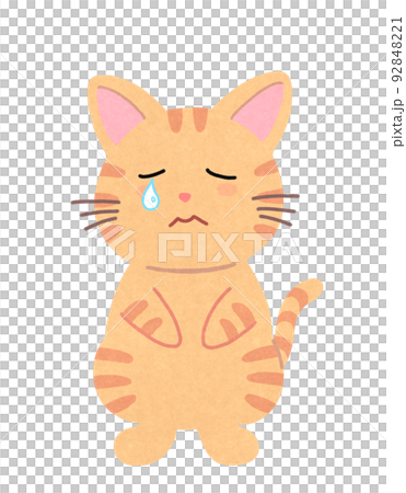 泣き顔の猫のイラスト　輪郭＝一部実線＆カラー　茶トラ猫 92848221