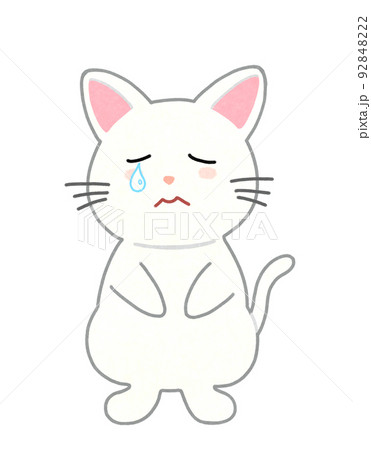 泣き顔の猫のイラスト　輪郭＝一部実線＆カラー　白猫 92848222