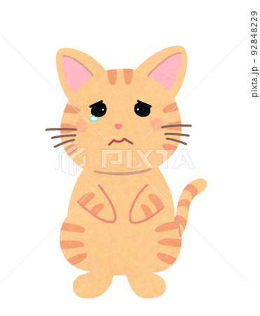 イラスト原画　見上げる表情がとても可愛らしい「猫の関心事」 イラスト原画 見上げる表情がとても可愛らしい「猫の関心事