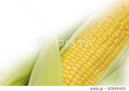 とうもろこし 92849403