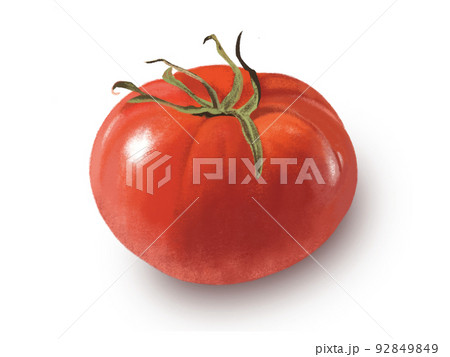 トマト（1個） 92849849
