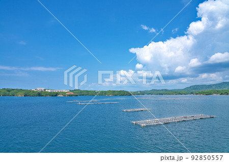 【賢島エスパーニャクルーズより英虞湾の風景】 三重県志摩市阿児町神明 【賢島エスパーニャクルーズより英虞湾の風景】 三重県志摩市阿児町神明 92850557