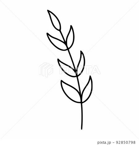 Sprig of plant for decorating postcard. Vector illustration in doodle style. Sprig of plant for decorating postcard. Vector illustration in doodle style. 92850798