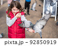 Feeding pigeons in the park. Girl feeds pigeons in London park 92850919