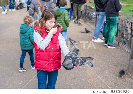 Feeding pigeons in the park. Girl feeds pigeons in London park 92850920