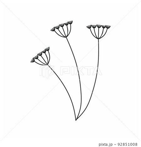 A black sprig of dill isolated on a white background. Doodle illustrations of hand-drawn flowers and plants. Pencil sketch. Design of logos, stickers, and postcards. Decorative elements of the vector. 92851008