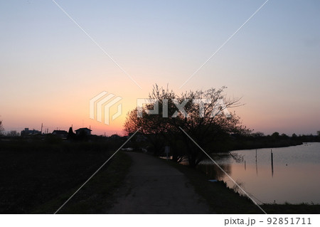 埼玉県蓮田市貝塚の山ノ神沼付近の夕景 埼玉県蓮田市貝塚の山ノ神沼付近の夕景 92851711