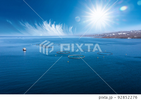 Farm salmon fishing in Norway Farm salmon fishing in Norway 92852276