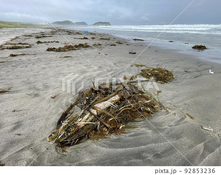 荒れた海に打ち寄せる海藻 荒れた海に打ち寄せる海藻 92853236