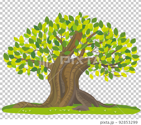 大樹的矢量圖解 92853299