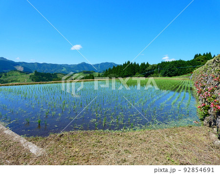 棚田 棚田 92854691