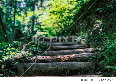 【#ほしだ園地】山道の階段03 92855257