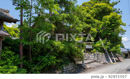 伝説を求めて「久延寺」を訪れた 伝説を求めて「久延寺」を訪れた 92855507
