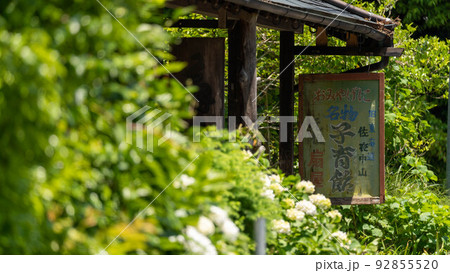 旧東海道「お土産売り場」 旧東海道「お土産売り場」 92855520