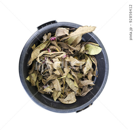dry leaves in a black trash can dry leaves in a black trash can 92856412