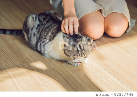 Young woman is drinking coffee and stroking the cat 92857448