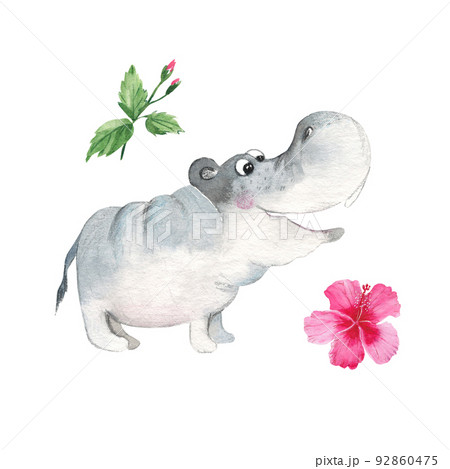 Cute baby hippo and hibiscus isolated on white background. Watercolor hand drawn illustration. 92860475