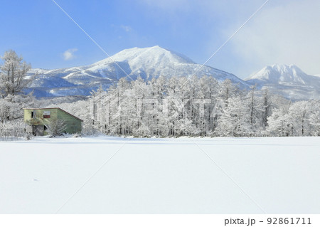 北海道倶知安町琴平の雪木立ちとニセコ連峰 北海道倶知安町琴平の雪木立ちとニセコ連峰 92861711