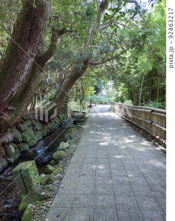 鹿児島県霧島山麓丸池湧水 92863217
