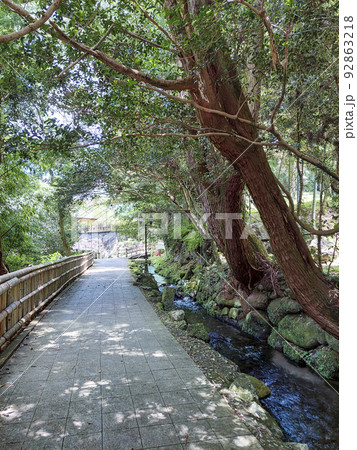 鹿児島県霧島山麓丸池湧水 92863218