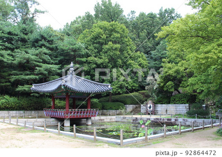 スポット 自然 風景 92864472