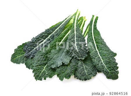 black kale, italian kale, tuscan kale, lacinato, dinosaur on white background 92864516