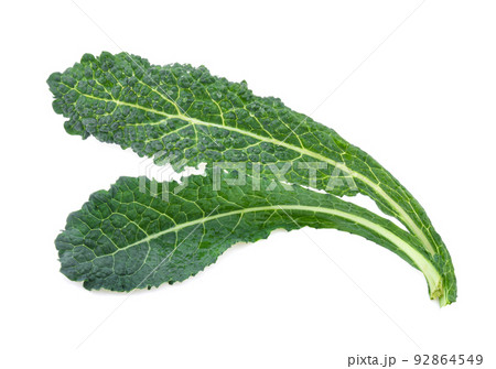 black kale, italian kale, tuscan kale, lacinato, dinosaur on white background 92864549