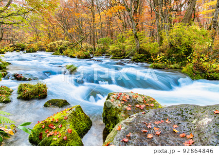青森県十和田市　紅葉の奥入瀬渓流　～三乱の流れ～ 92864846