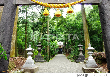延岡市の行縢神社の杉並木の境内 92865854