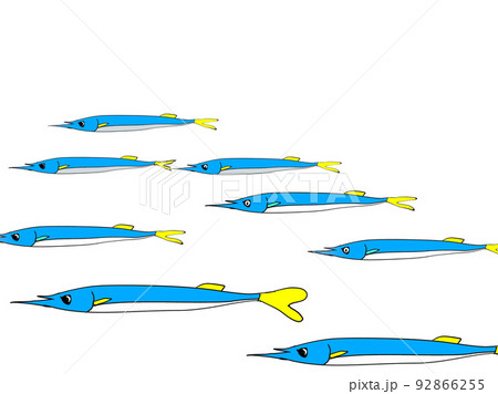 群れる海底の魚たち 92866255