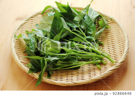 空芯菜(1) 92866646