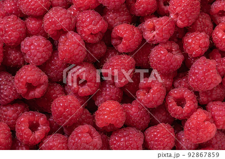 Raspberry. Fresh organic berries with leaves macro. Fruit background. Background from fresh raspberrys, close up. 92867859