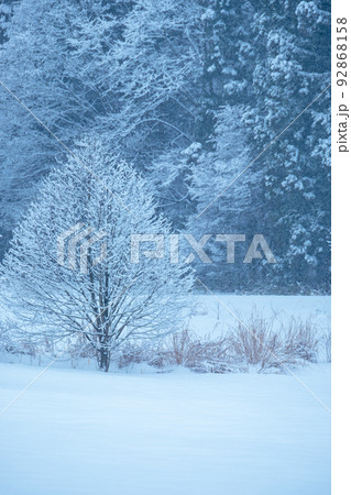 雪の日 蒜山高原 霜・冬色イメージ 雪の日 蒜山高原 霜・冬色イメージ 92868158