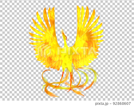 火の鳥 92868607