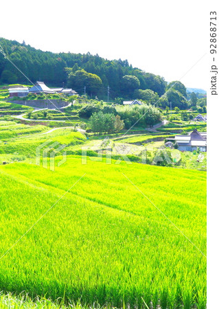 《兵庫県》河辺郡猪名川町　柏原の棚田と田園風景 92868713