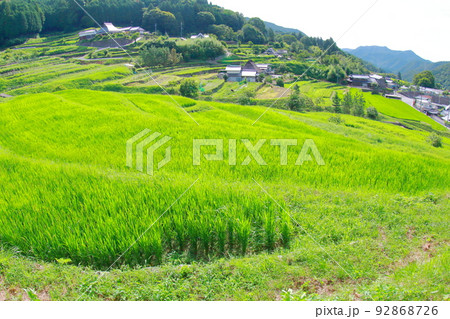 《兵庫県》河辺郡猪名川町　柏原の棚田と田園風景 92868726