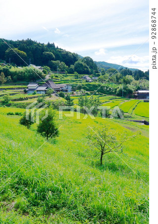 《兵庫県》河辺郡猪名川町　柏原の棚田と田園風景 92868744