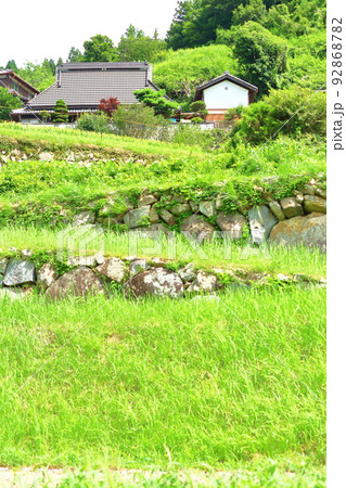《兵庫県》河辺郡猪名川町 柏原の棚田の石垣 《兵庫県》河辺郡猪名川町 柏原の棚田の石垣 92868782