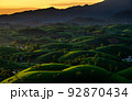 Aerial view of beatiful sunset at Long Coc tea hill, Phu Tho province, Vietnam 92870434