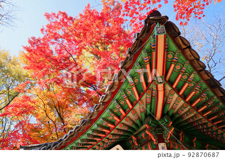 昌徳宮・秘苑の紅葉【韓国ソウル】 92870687