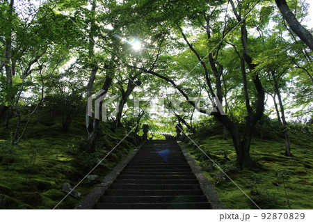 新緑 夏 四季 日本 夏休み 常寂光寺 京都市西京区 嵐山 阪急嵐山駅 JR嵐山駅 重要文化財 新緑 夏 四季 日本 夏休み 常寂光寺 京都市西京区 嵐山 阪急嵐山駅 JR嵐山駅 重要文化財 92870829