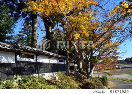 西念寺の紅葉 2021-11-28 #6 西念寺の紅葉 2021-11-28 #6 92871920